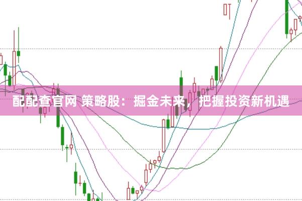 配配查官网 策略股:掘金未来,把握投资新机遇