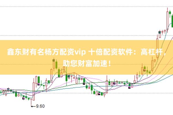 鑫东财有名杨方配资vip 十倍配资软件:高杠杆,助您财富加速!