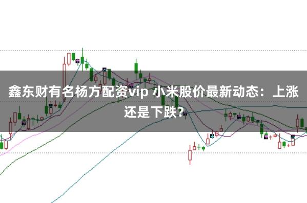 鑫东财有名杨方配资vip 小米股价最新动态：上涨还是下跌？