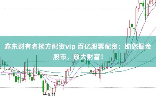 鑫东财有名杨方配资vip 百亿股票配资：助您掘金股市，放大财富！