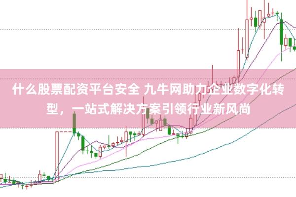 什么股票配资平台安全 九牛网助力企业数字化转型，一站式解决方案引领行业新风尚